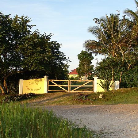 Casa del Caballo Blanco San Ignacio Esterno foto