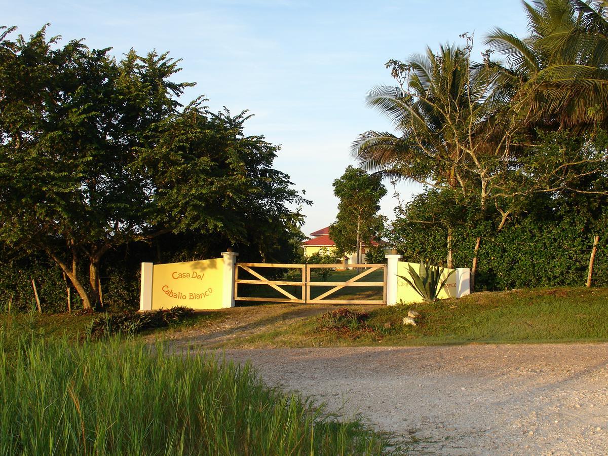 Casa del Caballo Blanco San Ignacio Esterno foto