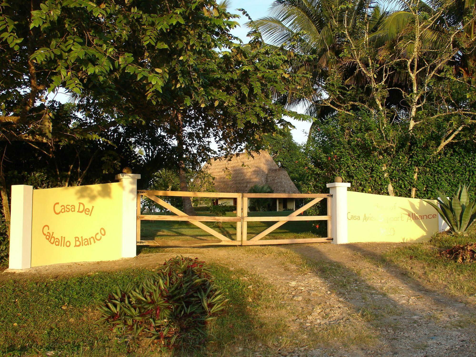 Casa del Caballo Blanco San Ignacio Esterno foto